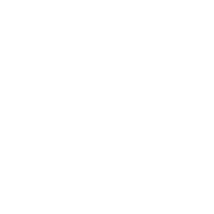 Free Delivery White Icon